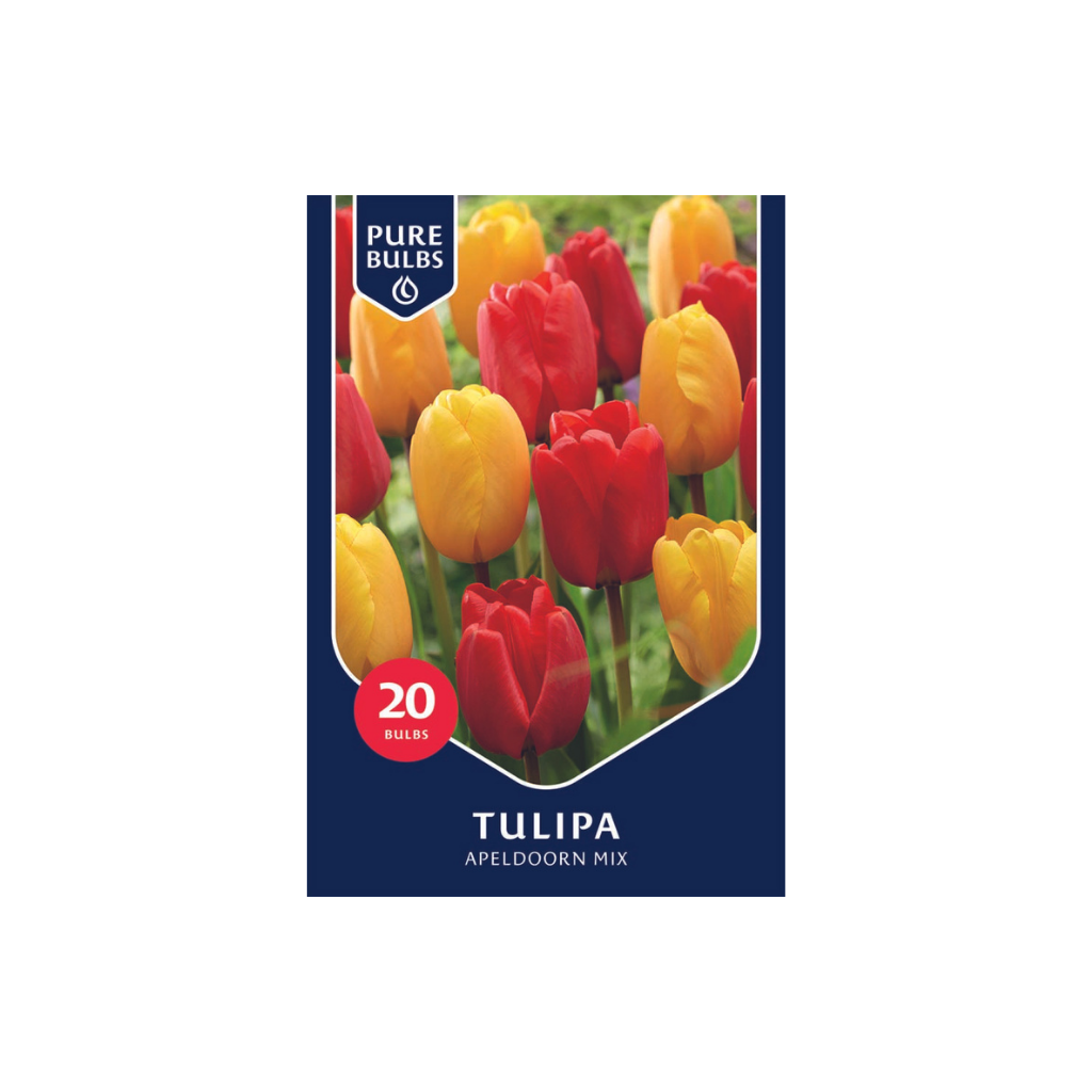 Pure Bulbs Tulipa Apeldoorn Mix 12 bollen