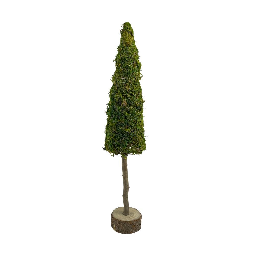 Boom op stam mos 11 x 60 cm