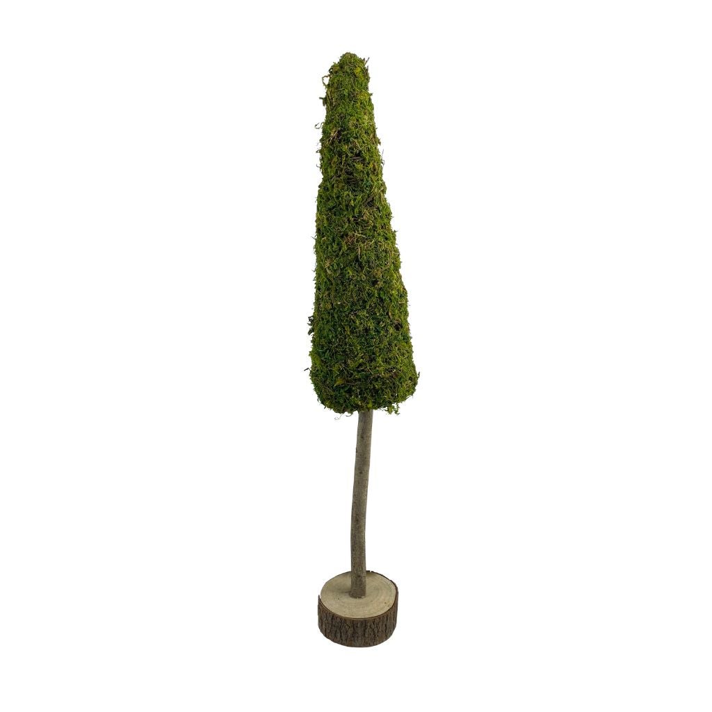 Boom op stam mos 12 x 70 cm