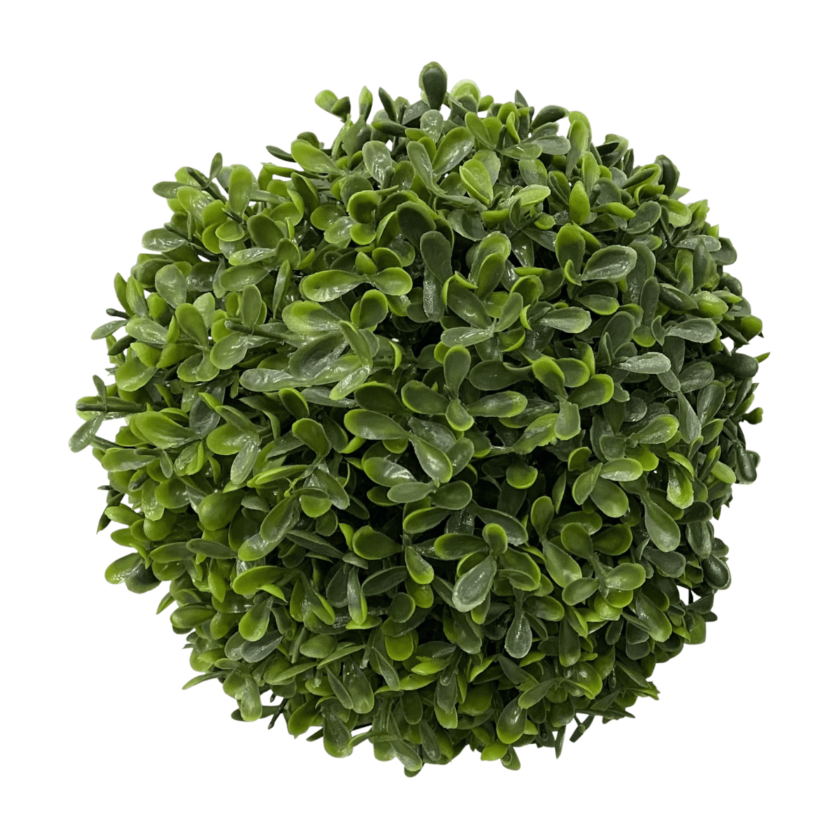 De Bosrand Buxusbol Groen 18 cm