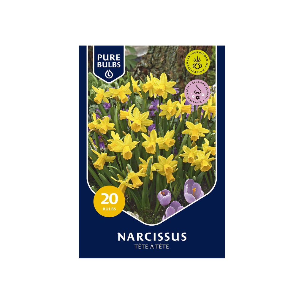Pure Bulbs Narcissus Tête-à-Tête 20 bollen