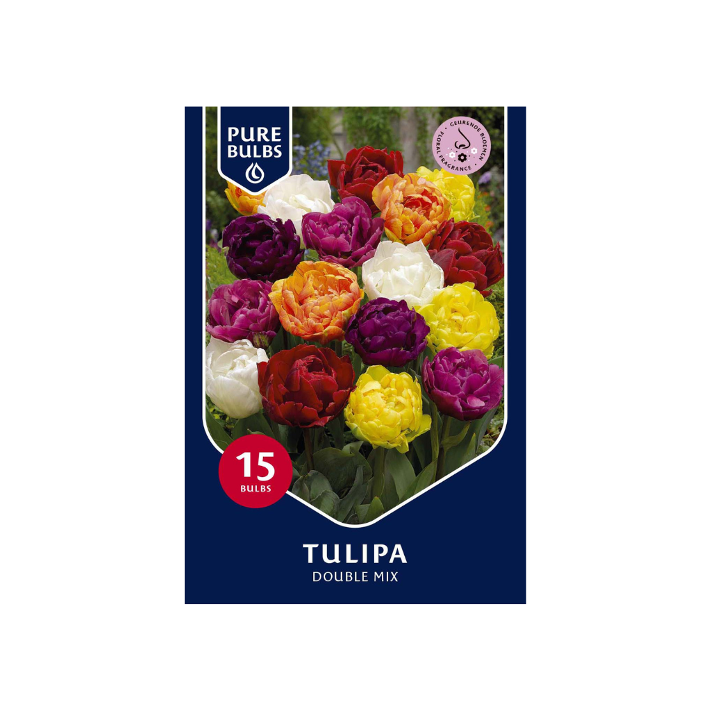 Pure Bulbs Tulipa Double mix 12 bollen