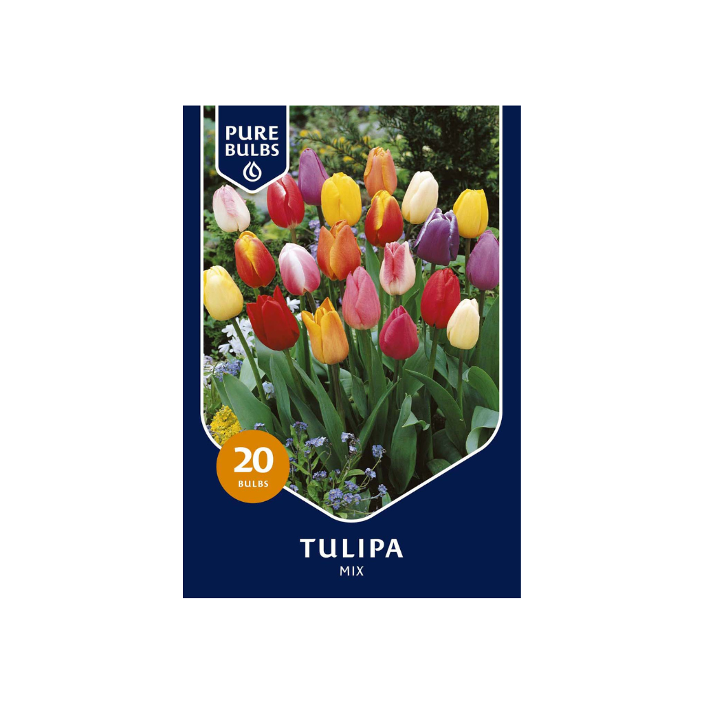Pure Bulbs Tulipa Mix 15 bollen