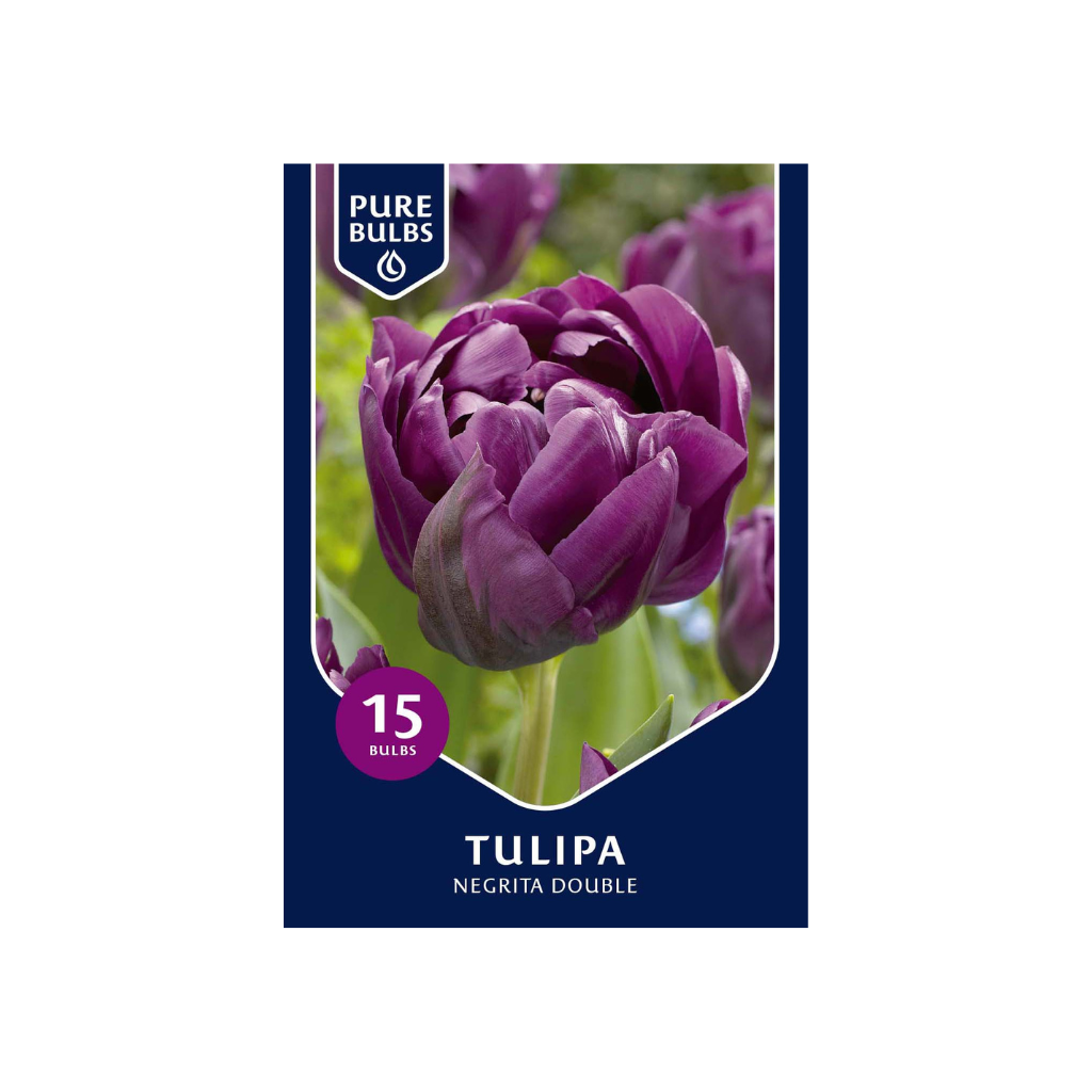 Pure Bulbs Tulipa Negrita Double 12 bollen