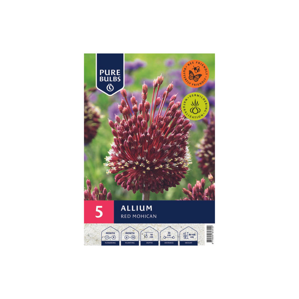 Pure Bulbs Allium Red Mohican 5 bollen