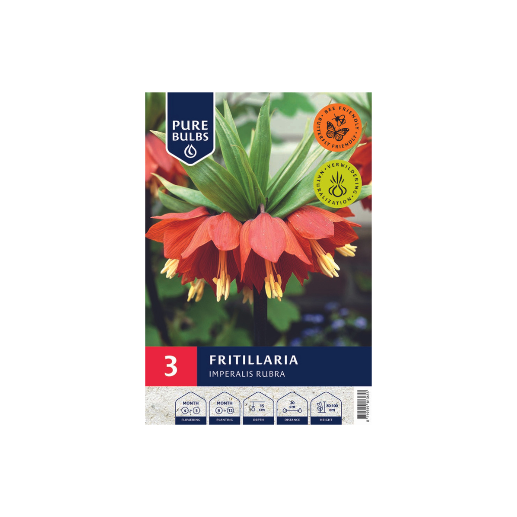 Pure Bulbs Fritillaria Imperalis Rubra 3 bollen