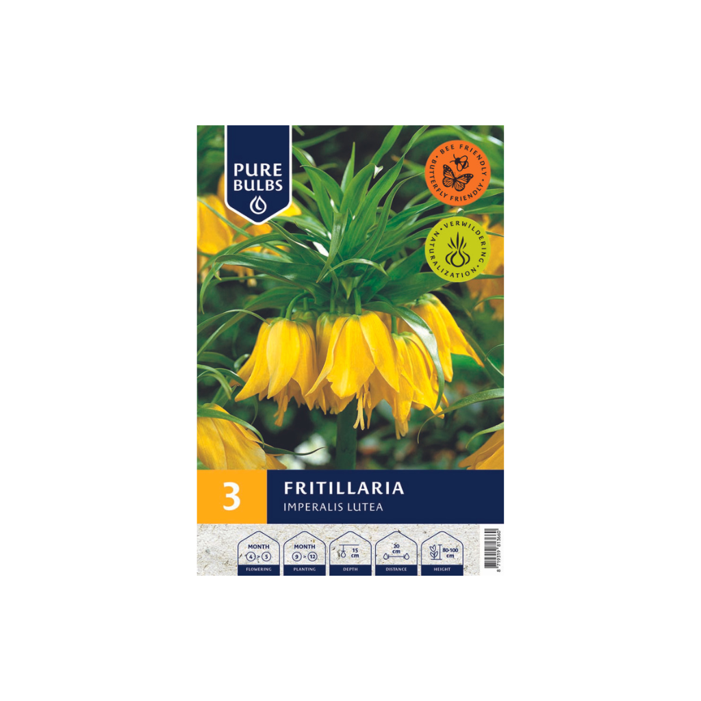 Pure Bulbs Fritillaria Imperalis Lutea 3 bollen
