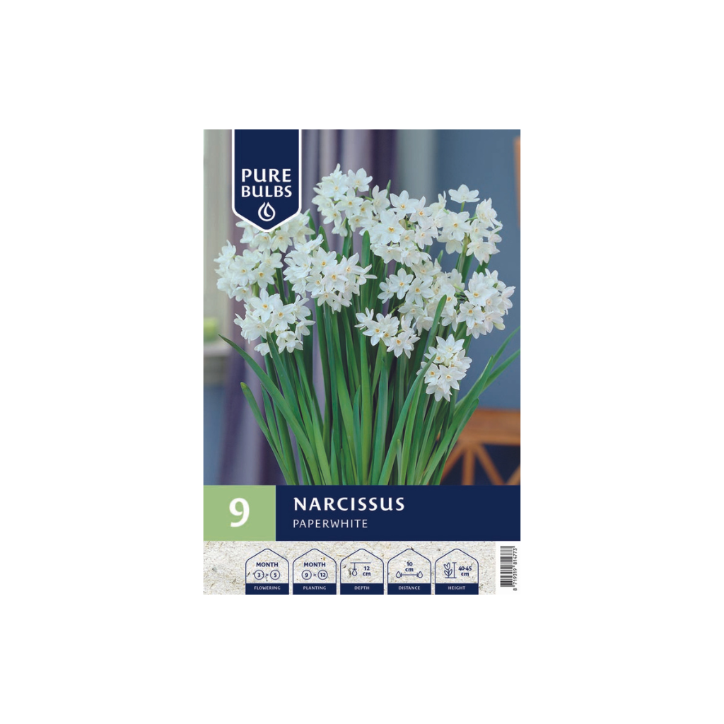 Pure Bulbs Narcissus Paperwhite 9 bollen