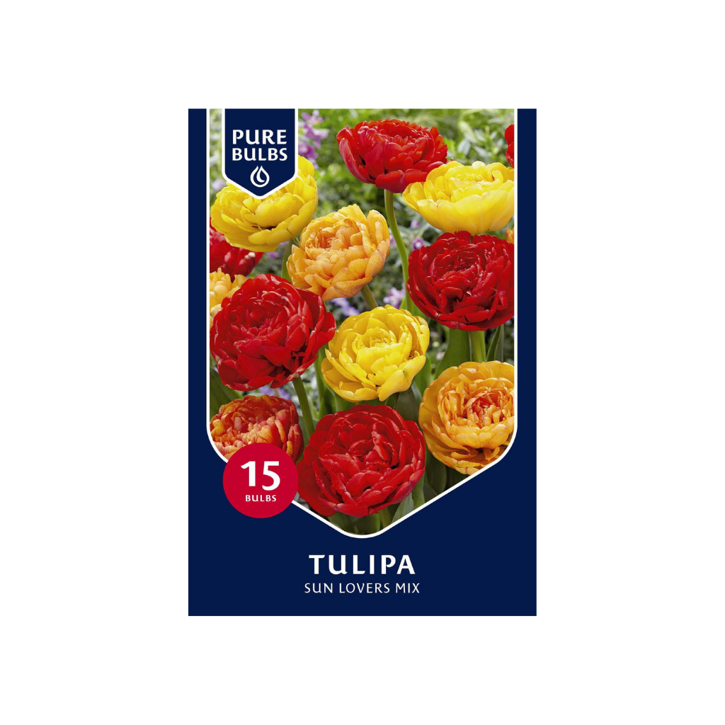 Pure Bulbs Tulipa Sun lovers Mix 12 bollen