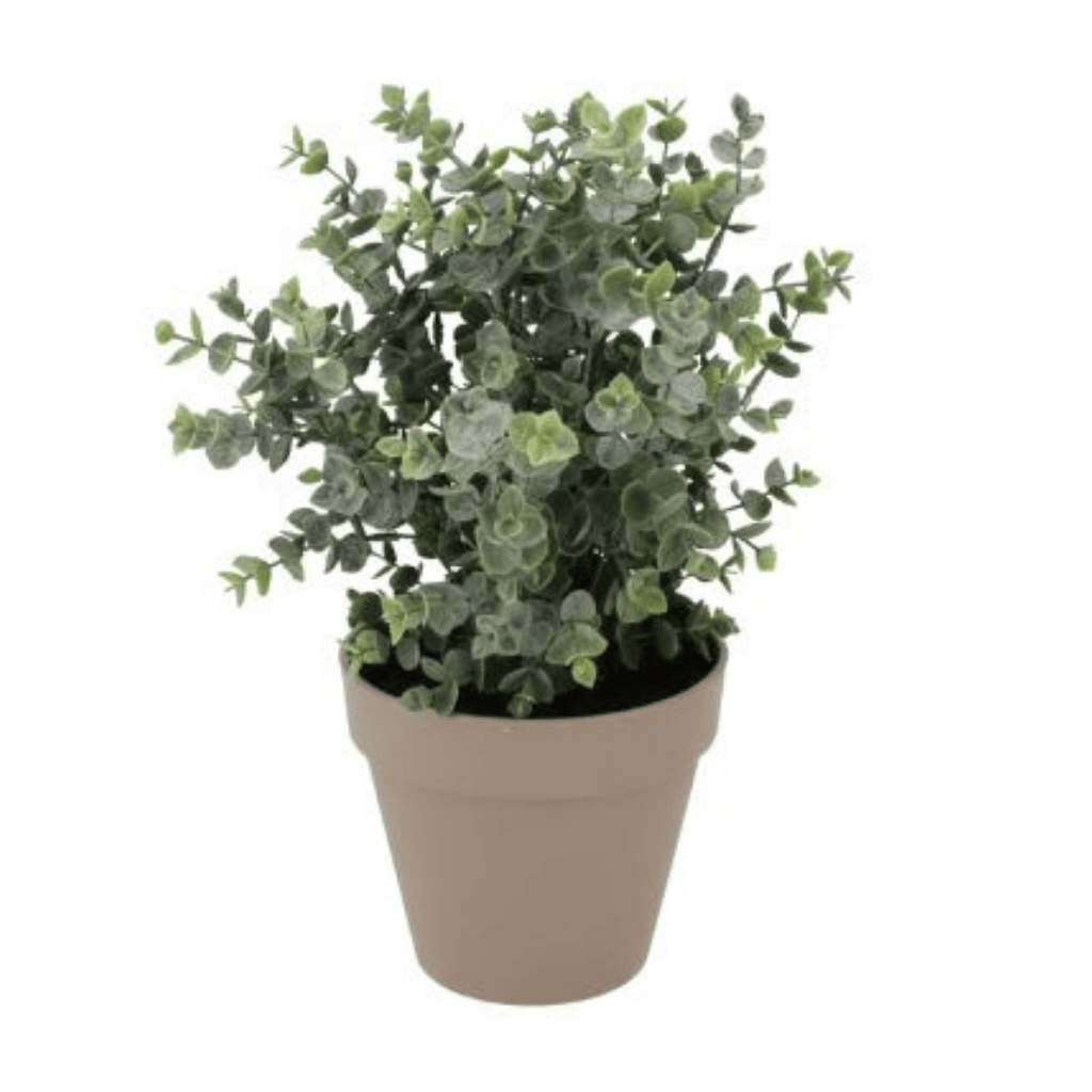 Daan Kromhout Design Kunstplant Eucalyptus in Pot Terra 18 x 19 cm