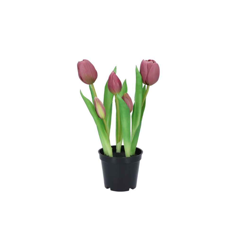 Silk Tulip In Pot Mauve
