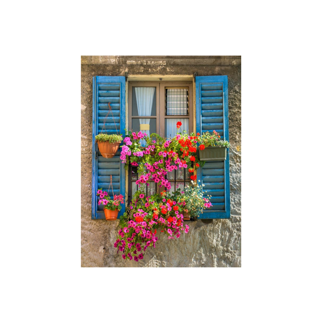 Tuinposter Kozijn met Bloemen 80 x 60 cm