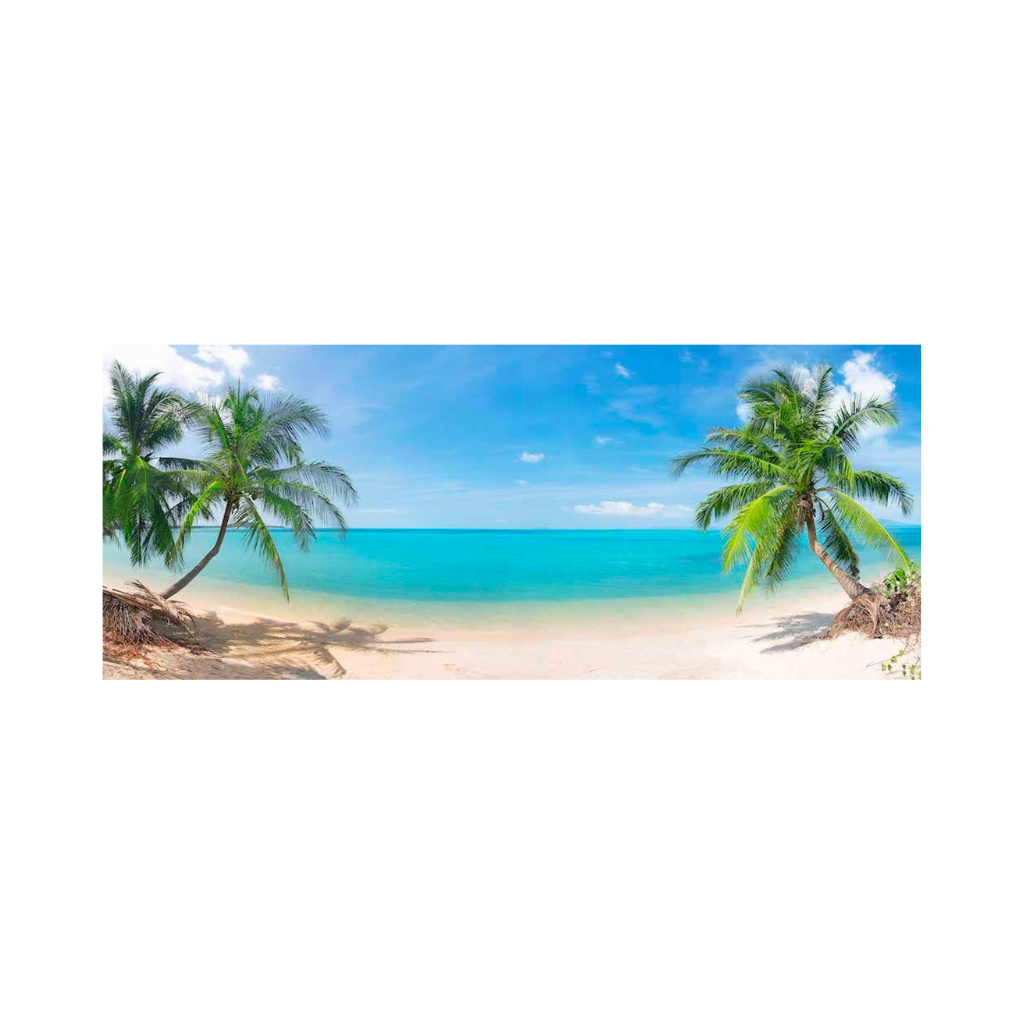 Tuinposter Strand palmen 110 x 45 cm