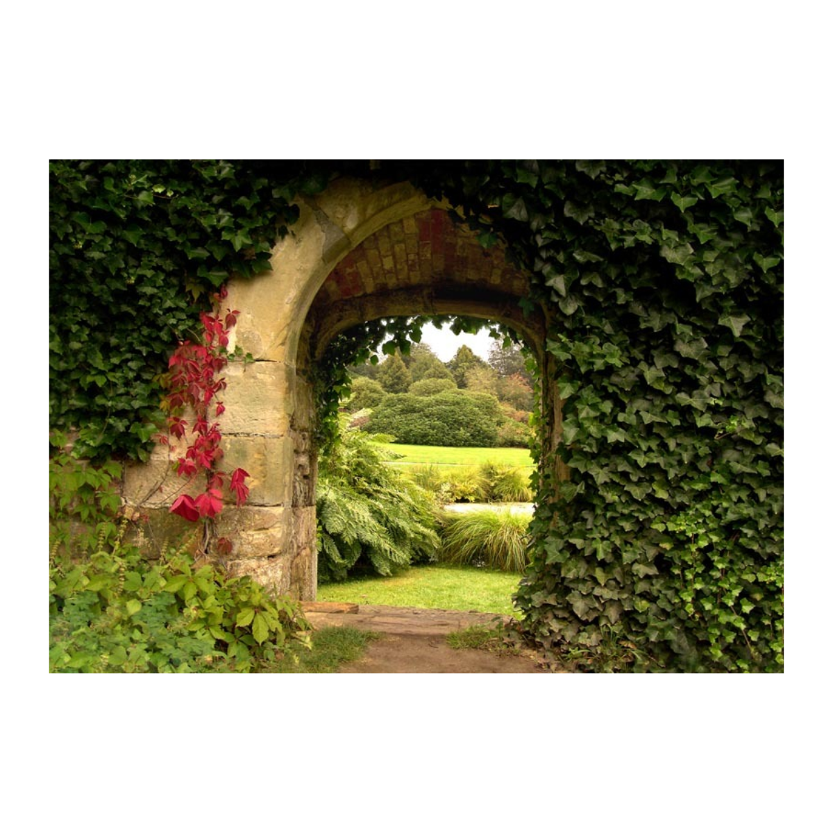 All Seasons Posters Tuinposter Muurboog 117 x 163 cm