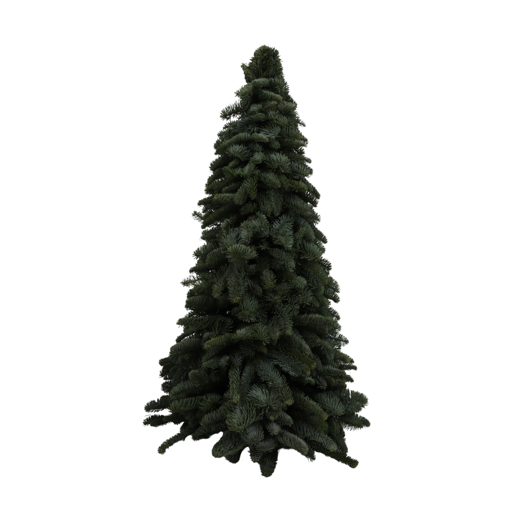 Nobilis Tree Up 30 cm