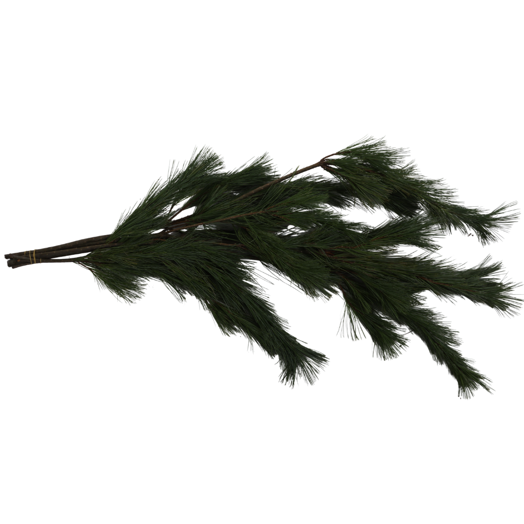 Handbosjes kerstgroen