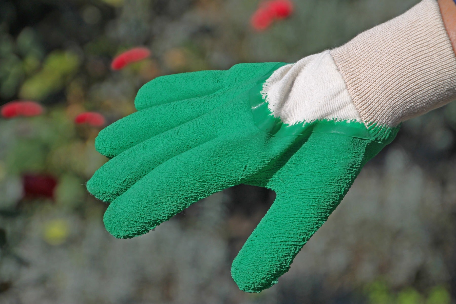 Talen Tools Werkhandschoenenen rozen maat XL