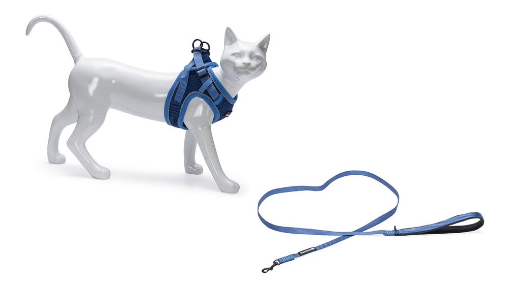 Beeztees kattentuigje met lijn Parinca blauw M/L 26-31 cm