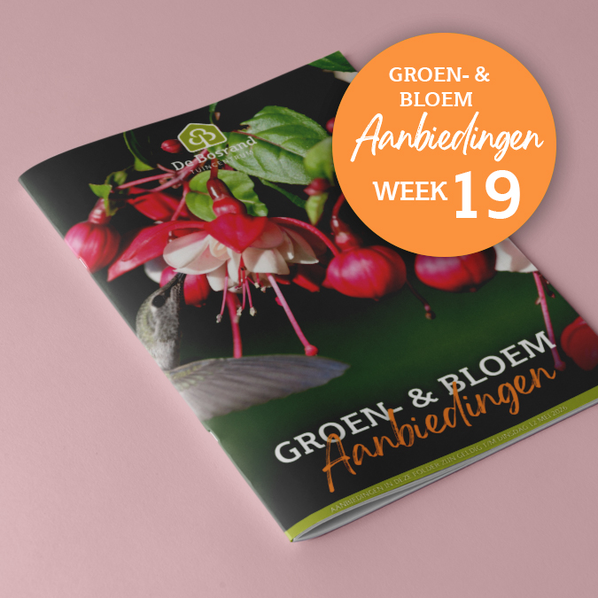 tegel_groenfolder19