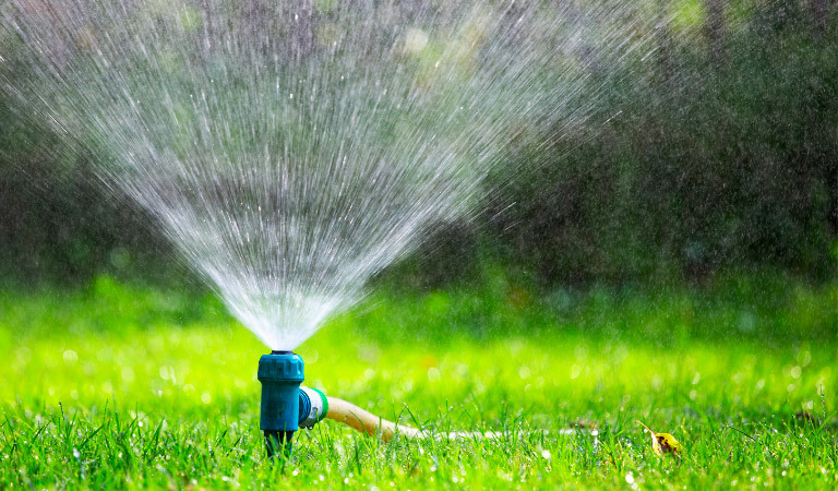 Water geven in de tuin: de tuin sproeien