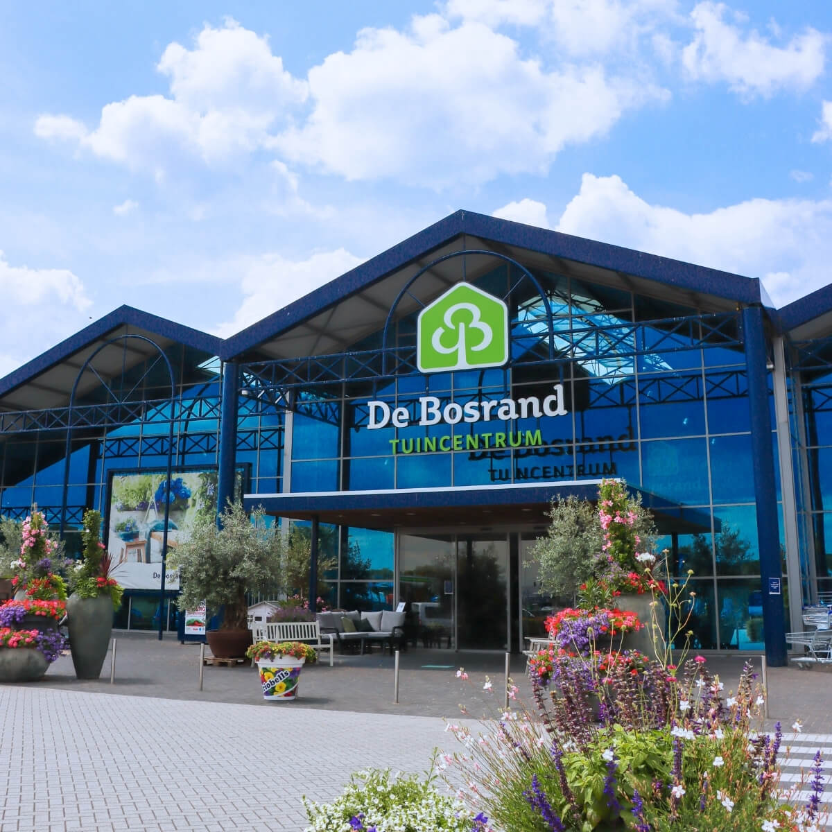 winkel-alphen-zomer